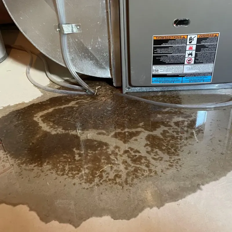 Pipe Burst and Leak Restoration in Groton, NY